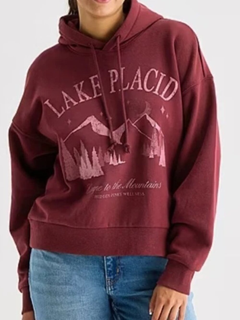 Arizona Jean Co Hooded Sweatshirt Hoodie Lake Placid Graphic Burgundy Size Small
